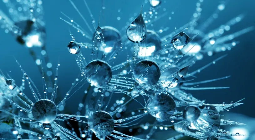 Horoscop 12 iulie 2019: Gemenii pot avea probleme de sanatate