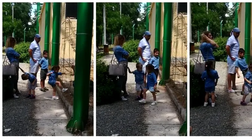 Scene socante la gradina zoologica din Braila! Ce au facut niste copii, paunilor. Parintii priveau si radea VIDEO