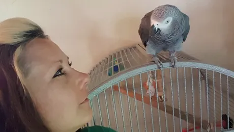 Femeia asta a ajuns la inchisoare din cauza papagalului sau. Ce i-a facut pasarea