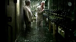 Galerie foto - Poza #4