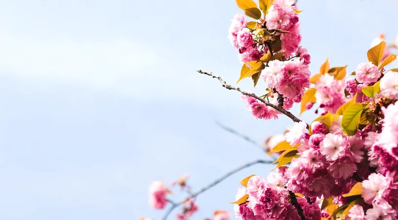 Horoscop 21 aprilie 2019: Nativii care pot pleca intr-o calatorie cu partenerul!