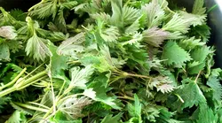 Galerie foto - Poza #4