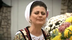 Galerie foto - Poza #4