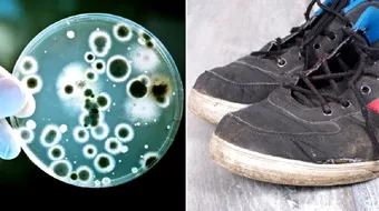 Adevarul despre bacteriile de pe incaltaminte. De ce NU e periculos sa intri incaltat in casa!