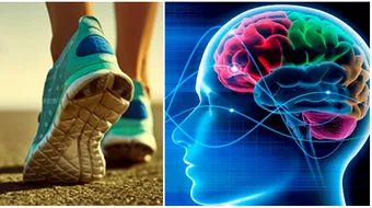 Mersul pe jos imbunatateste memoria. Ce se intampla daca te plimbi 30 de minute, zilnic