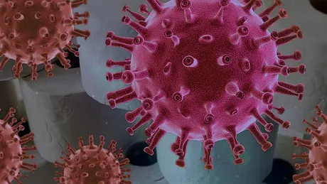 Se poate lua sau nu coronavirusul la toaletă? Ce răspuns a oferit dr. Răzvan Cherecheș
