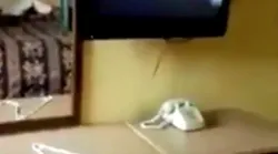 Galerie foto - Poza #4