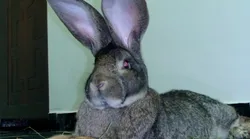 Galerie foto - Poza #3