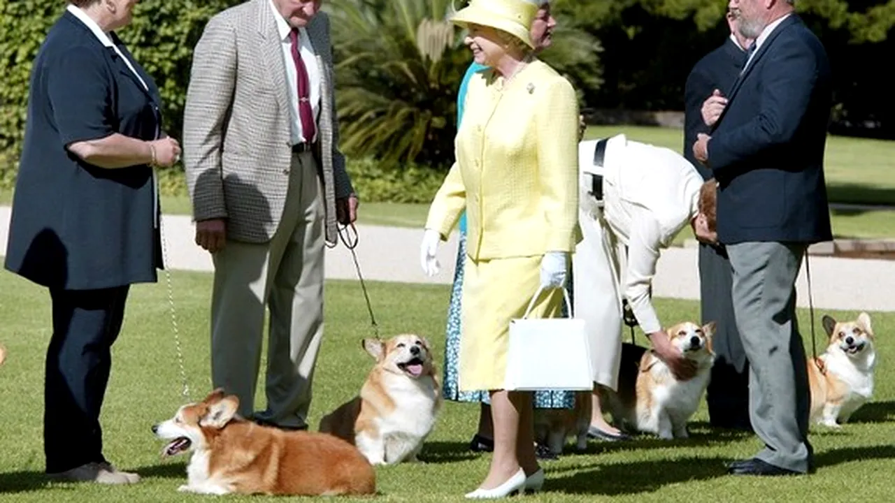 Interdictii in dormitorul Reginei Elisabeta a II-a. La asta nu te-ai fi asteptatH-CORGIS CLUB 