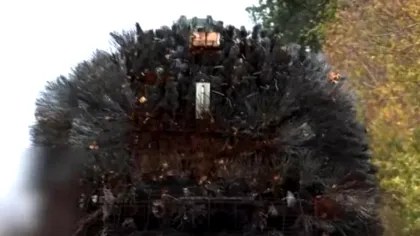 Tancurile-ARICI, improvizația ucraineană care pune probleme dronelor rusești - Video