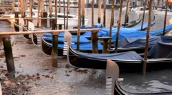 Galerie foto - Poza #4