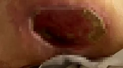 Galerie foto - Poza #4