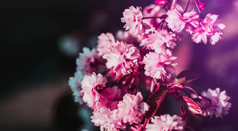 Horoscop 15 martie 2019: Ce zodii au astazi probleme de natura sentimentala!