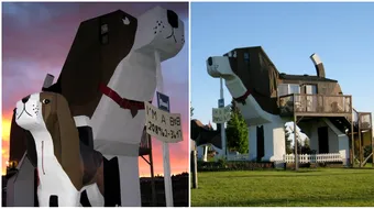 Asa arata casa in forma de caine! Iata ce ascunde in interior si cat costa sa petreci o noapte acolo