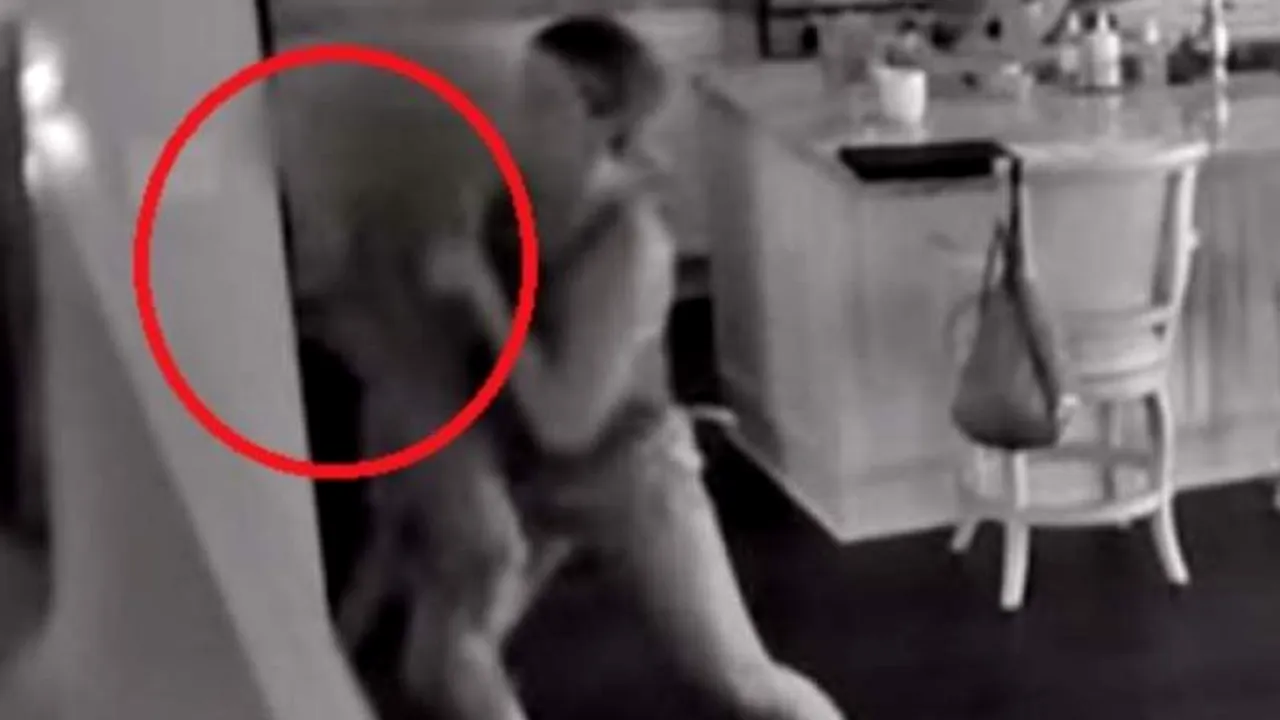 Dadaca a salvat un copil din mainile unui hot. Intrase peste el in casa. VIDEO socant (1) 
