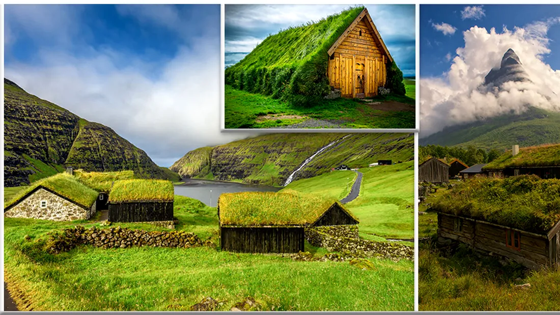 Casele scandinave din basme! Acoperisurile lor sunt facute din iarba. De ce le recomanda constructorii