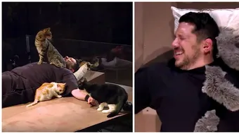 Tipul asta are o fobie de pisici grava, dar a fost legat cu lanturi ca sa poata sta in aceeasi cutie cu multe feline! VIDEO