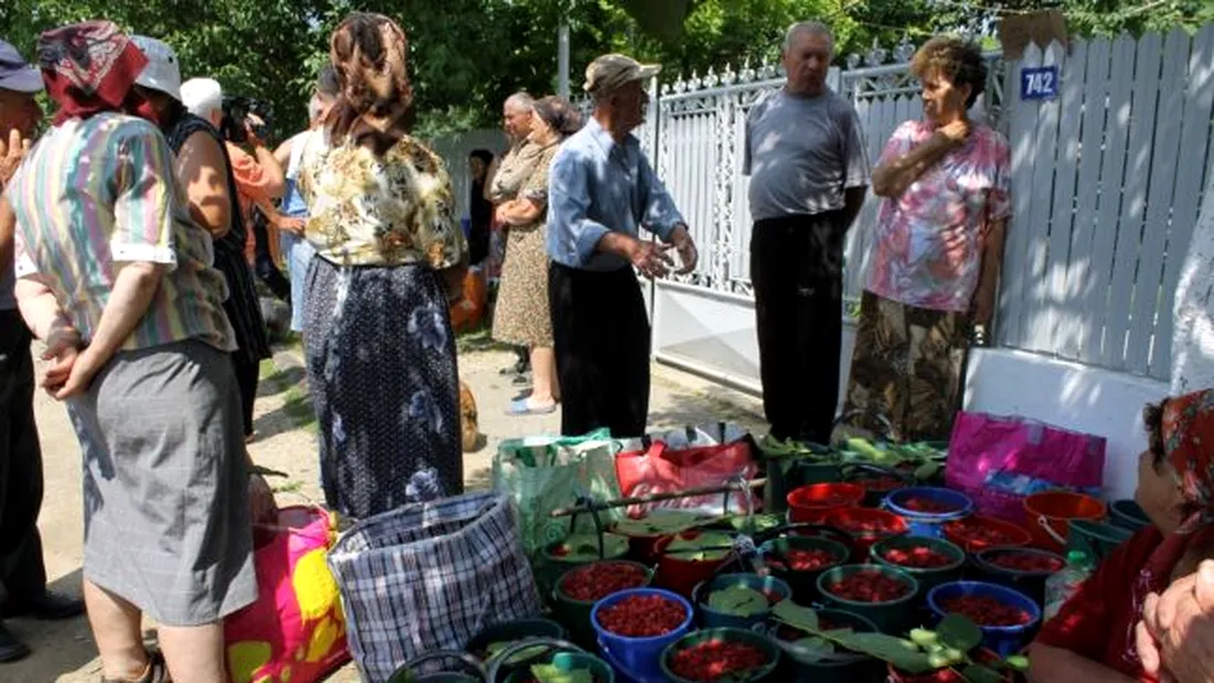 Localitatea din Romania devenita celebra pentru culturile de zmeura. Marfa ajunge in cofetariile de lux din Europa! Cu cat se vinde un kilogram