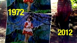 Galerie foto - Poza #2