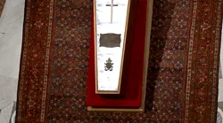 Galerie foto - Poza #3