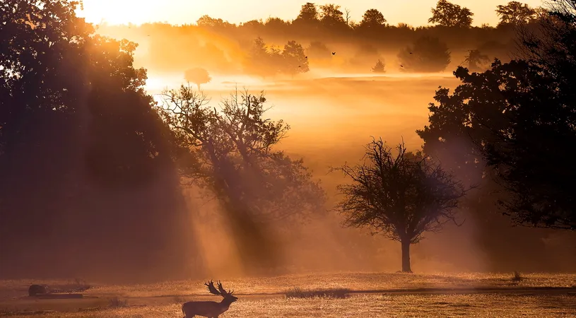 Horoscop 26 iulie 2018: Gemenii trebuie sa fie mai implicati in relatia de cuplu!