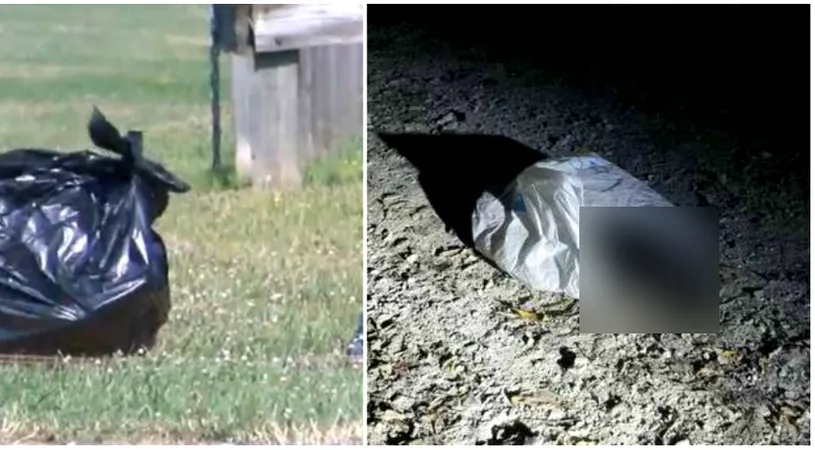 Politistul a dat peste o punga de gunoi suspecta cand patrula printr-un parc! A inlemnit cand a vazut ce se afla in interior