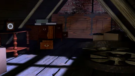 Auzeau seara de seara zgomote bizare in podul casei. Au instalat camere de filmat, dar nu le-a venit sa creada cine venea zilnic peste ei VIDEO