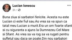 Galerie foto - Poza #2