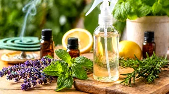 Cum faci o soluție naturală împotriva țânțarilor. Rețetă simplă pentru casă și sfaturi care chiar pot reduce disconfortul