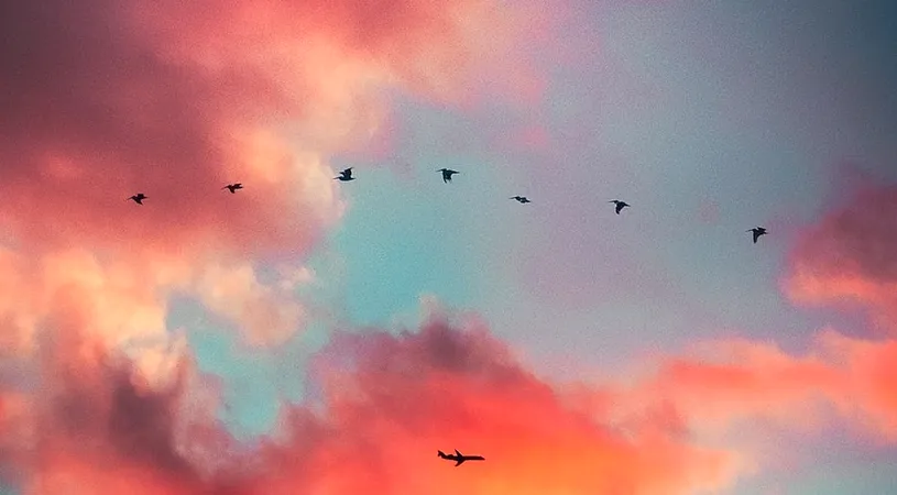 Horoscop 11 august 2019: Zodiile care isi schimba locul de munca!