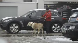 Galerie foto - Poza #4