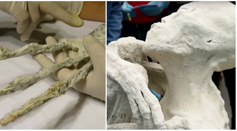 Scheletul bizar cu doar trei degete descoperit de arheologi a primit verdictul! NU apartine unui om. Iata de ce VIDEO