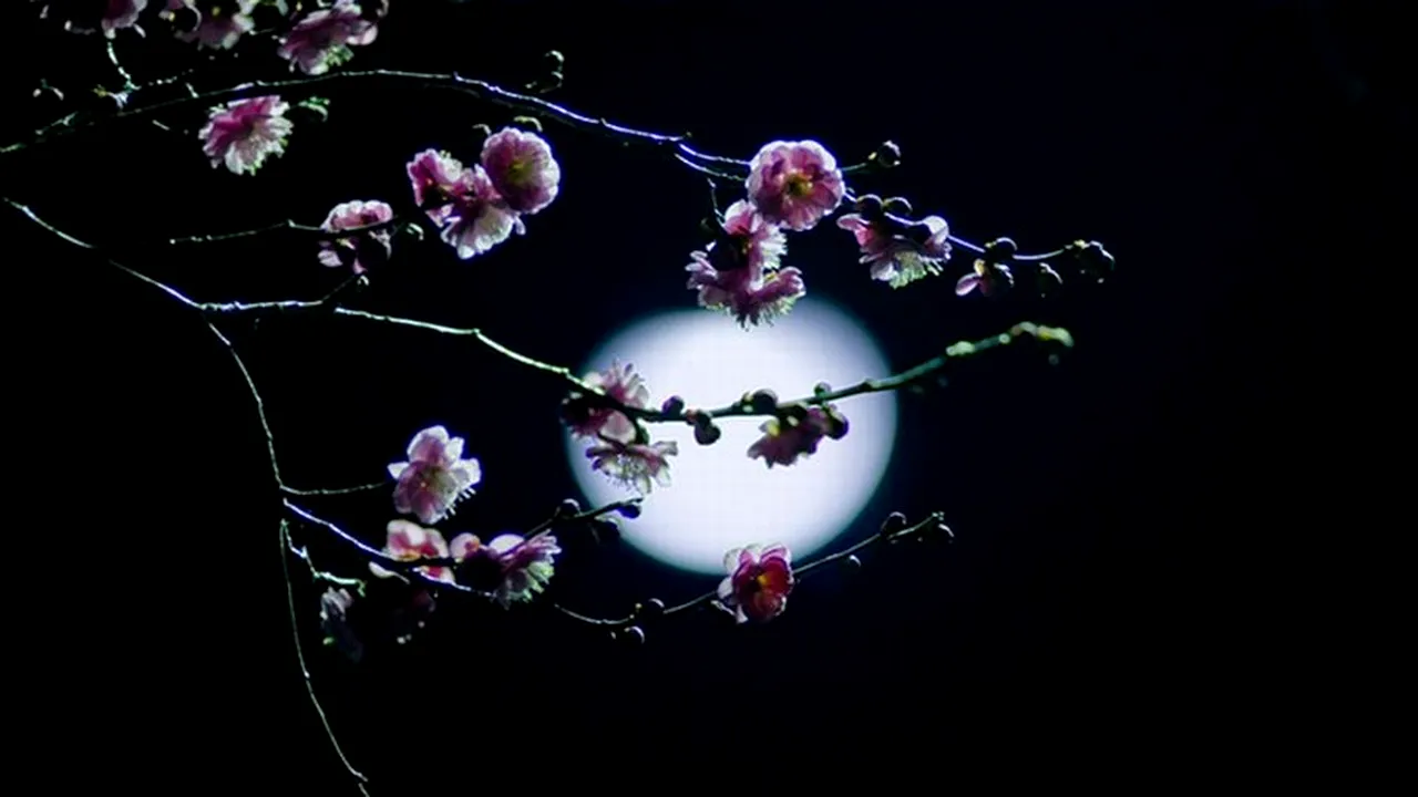 horoscop 26 august 2019 