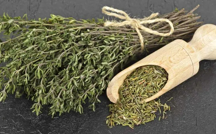 Cimbrul, unul dintre cele mai puternice antibiotice naturale din lume. Sfaturi de la dr. Daniela Bușneag