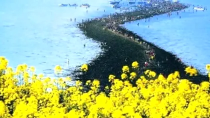 Miracolul de la Marea Jindo. Legenda tulburătoare a bătrânei și tigrilor