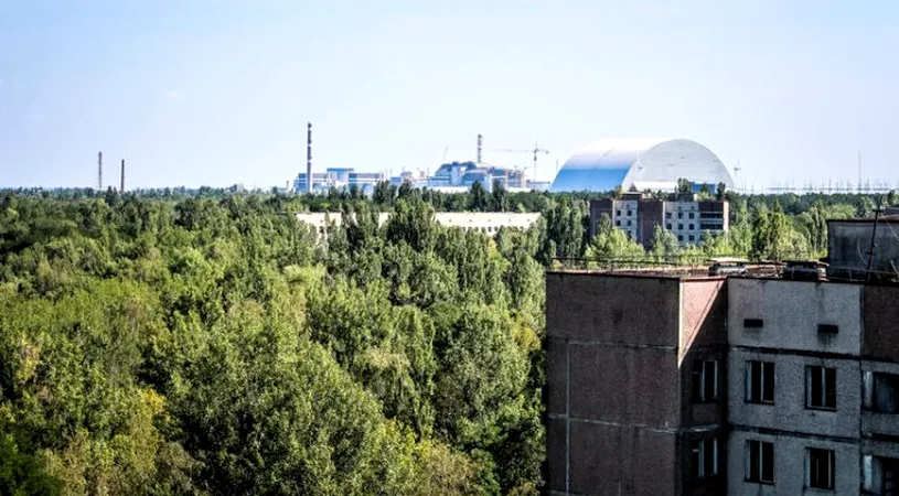 Ce s-a întâmplat cu plantele la Cernobîl după dezastrul nuclear! Este un fenomen uluitor