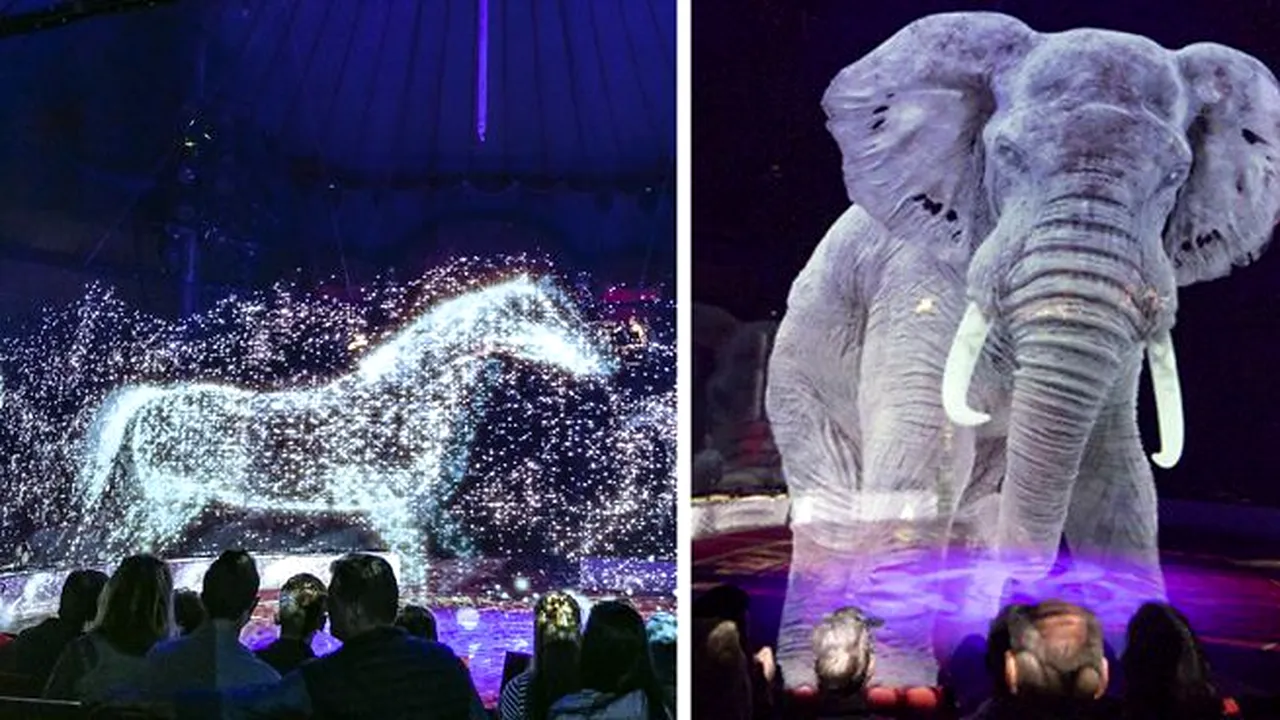 Animale inlocuite cu holograme, intr-un circ (6) 