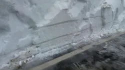 Galerie foto - Poza #4