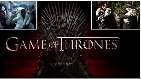 'Game of Thrones' are cel mai urat impact asupra oamenilor. Ce lucruri urate au inceput sa faca oamenii din cauza serialului