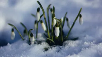 Horoscop 4 martie 2019: Racii pot avea dificultati financiare!