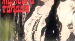 Galerie foto - Poza #4