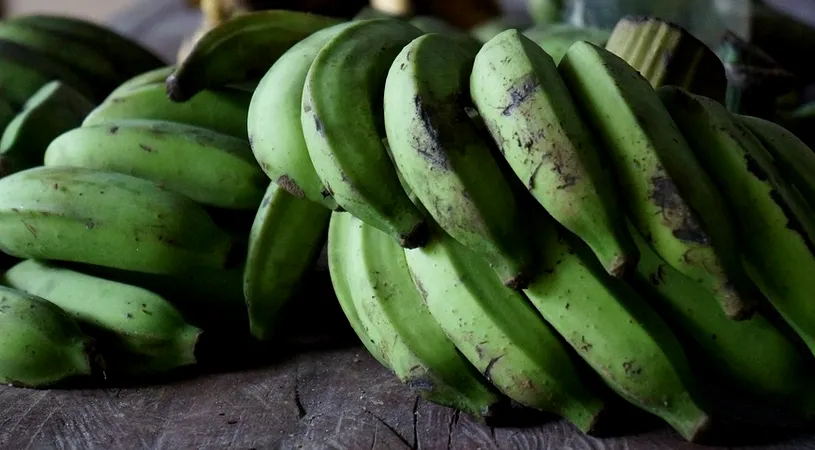 Bananele verzi, importante pentru organism. De ce nu trebuie sa le ocolesti