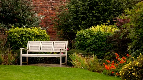 (P) Se poartă grădinile îngrijite: trucuri pentru un spațiu ca în reviste