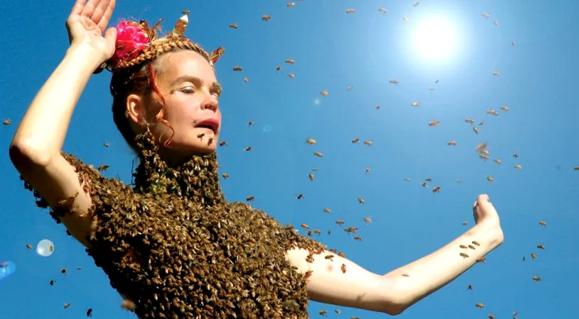 Femeia asta s-a lasat inconjurata de 12.000 de albine. Curios este de ce insectele nu au intepat-o VIDEO