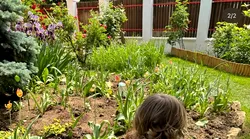 Galerie foto - Poza #3