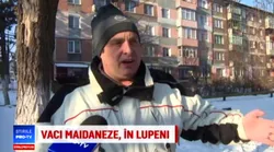 Galerie foto - Poza #4