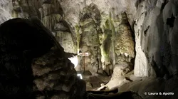 Galerie foto - Poza #4