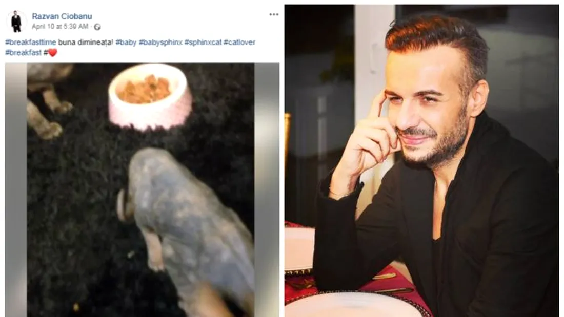 Razvan Ciobanu si-a lasat animalele in urma! Creatorul de moda crestea pisici pentru un ban in plus