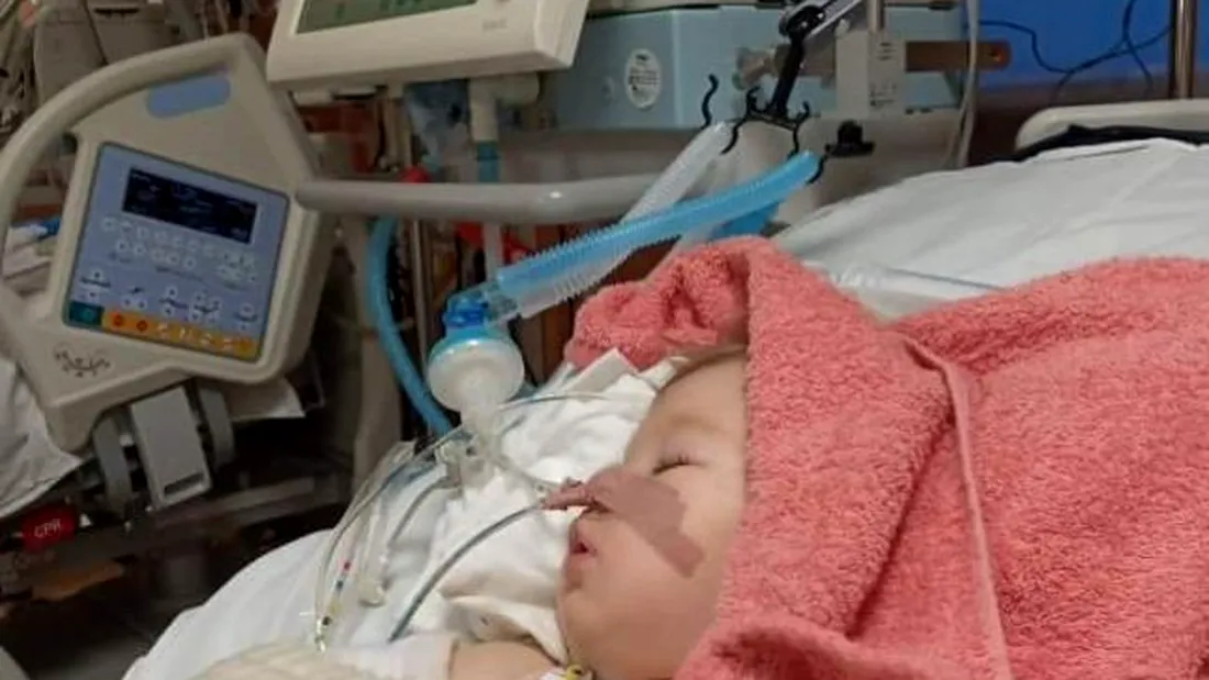 Fetiţa jandarmeriţei ucise pe o trecere de pietoni este internată de cinci săptămâni în spital