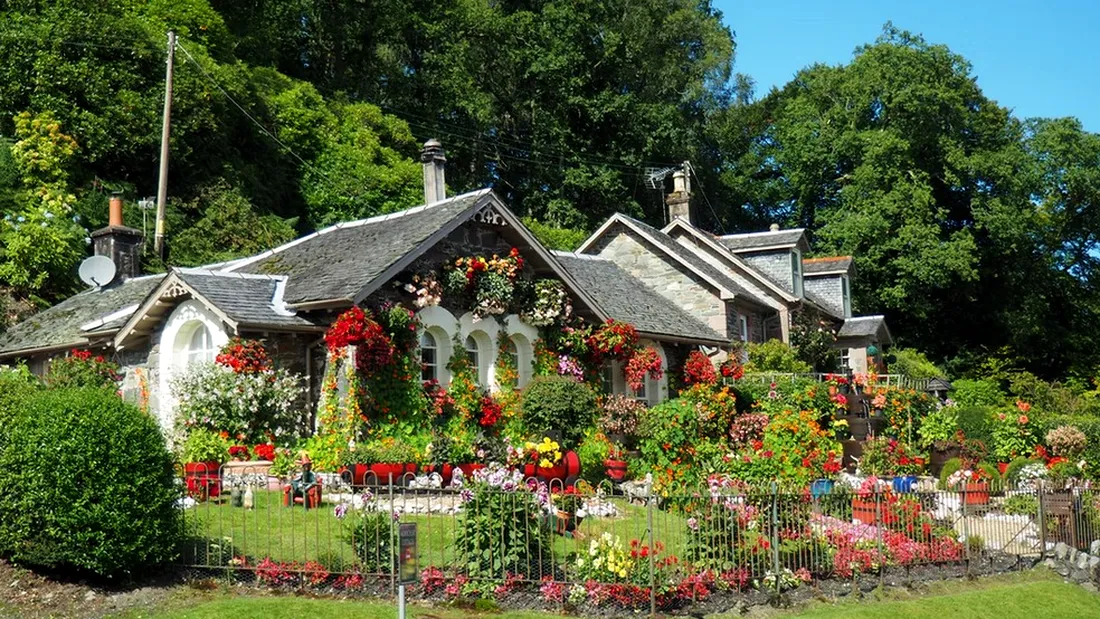 Avantajele amenajării grădinii casei tale